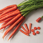 Rubypak Colored Carrots
