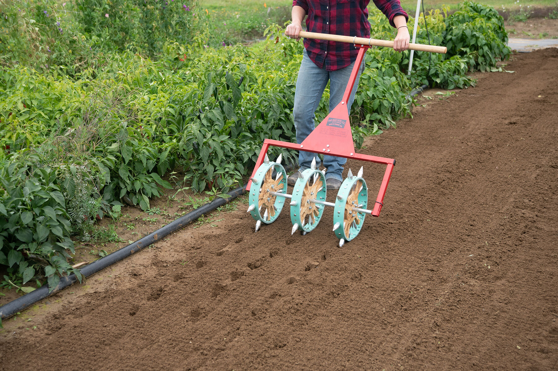 Seed dibbler shop