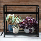 Johnny's&nbsp;Infinite&nbsp;Adjustable&nbsp;LED Light Stand LED