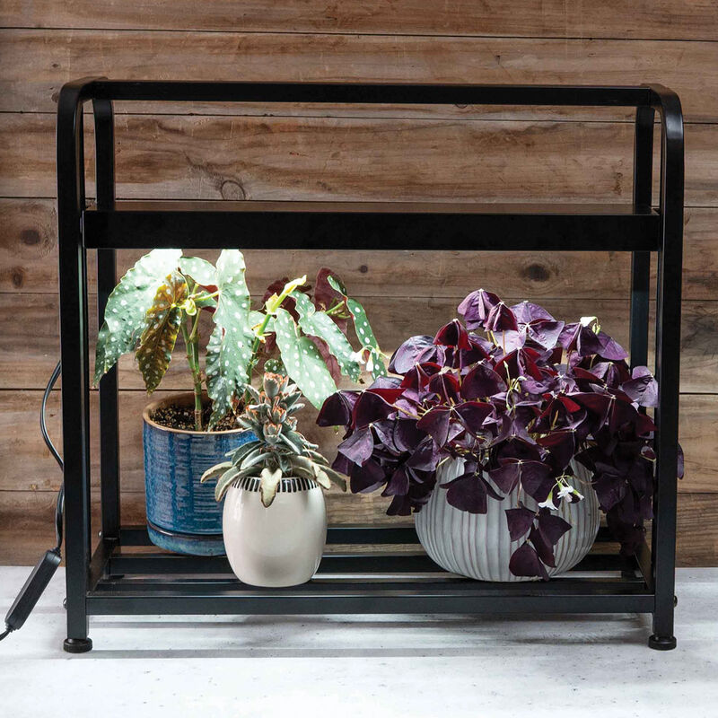 Johnny's&nbsp;Infinite&nbsp;Adjustable&nbsp;LED Light Stand LED