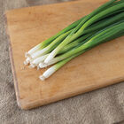 Dash Bunching Onions