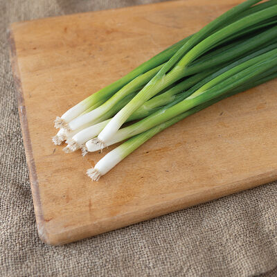 Dash Bunching Onions