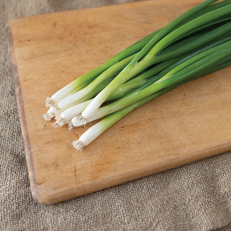 Dash Bunching Onions