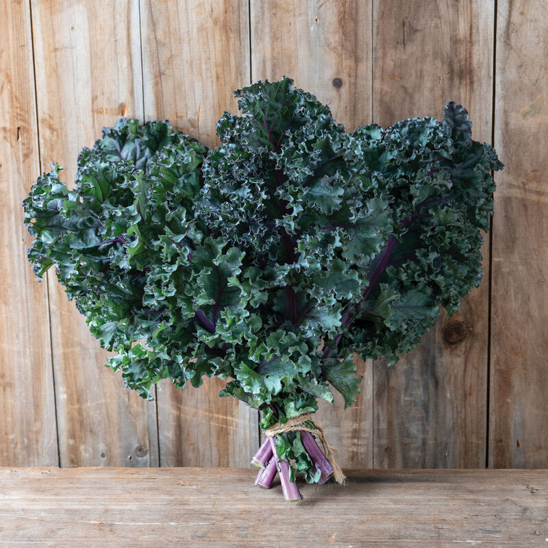 Rubybor Curly Kale