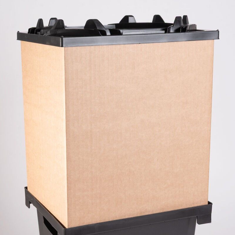 Florida Collar &ndash; 13" Florida Series