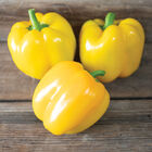 Amaretto Sweet Bell Peppers