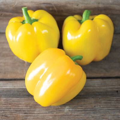 Amaretto Sweet Bell Peppers
