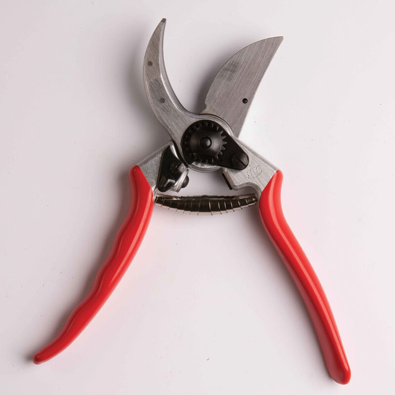 https://www.johnnyseeds.com/dw/image/v2/BJGJ_PRD/on/demandware.static/-/Sites-jss-master/default/dw05bd8a52/images/products/tools/07733_02_felco_pruning_shears.jpg?sw=800&cx=457&cy=75&cw=1000&ch=1000