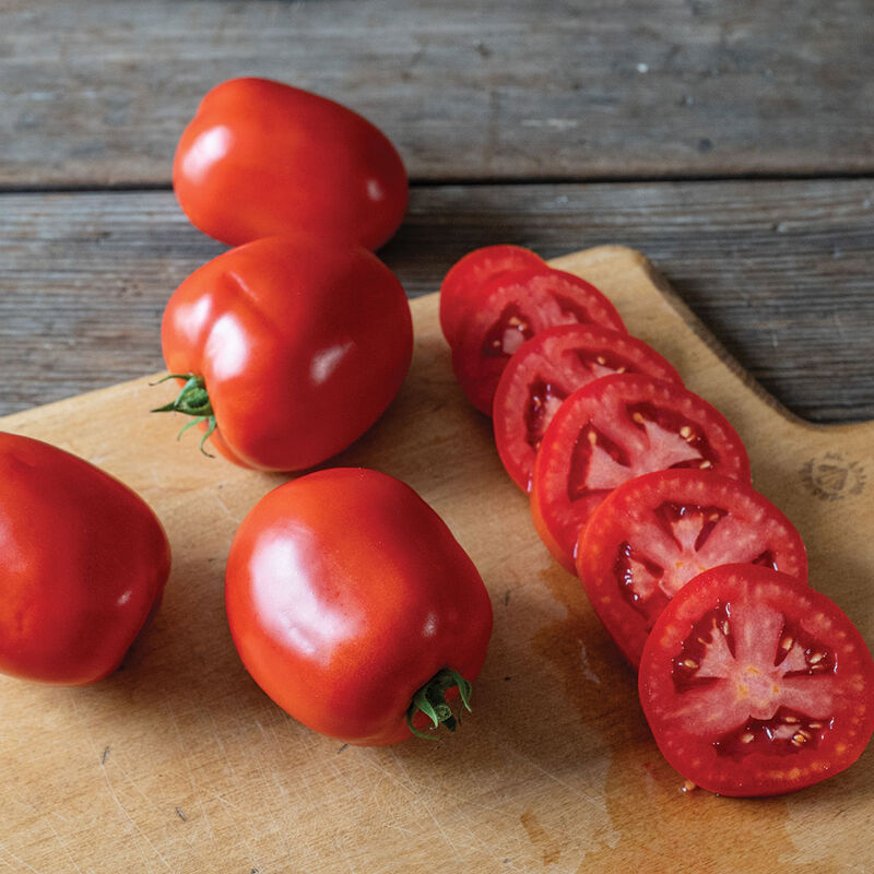 Kuzco Paste Tomatoes