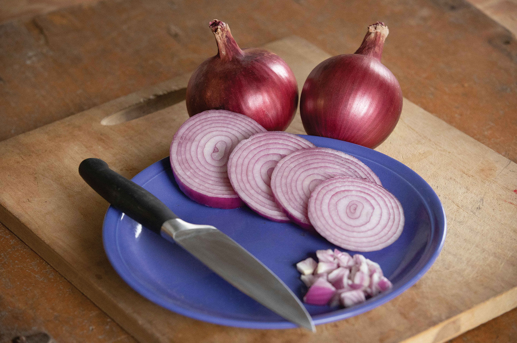 Johnny's Selected Seeds Red Carpet Onion Seed