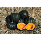Honey Bear Winter Squash