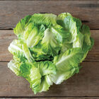 Bigelow Romaine Lettuce (Cos)
