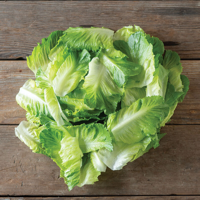 Bigelow Romaine Lettuce (Cos)