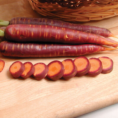 Purple Haze Purple Haze Main Crop Carrots