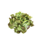 Red Sails Leaf Lettuce