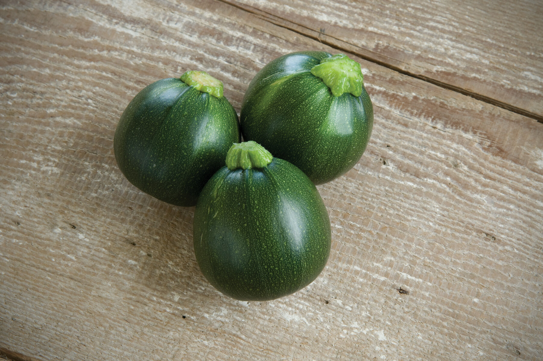 Eight Ball - (F1) Squash Seed | Johnny's Selected Seeds