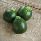 Eight Ball Summer Squash