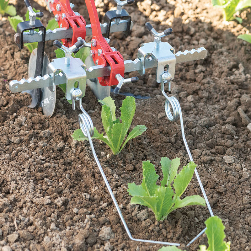 Torsion Weeders Terrateck Wheel Hoe Accessory Johnny s Selected Seeds Torsion Weeders Terrateck Wheel Hoe Accessory Johnny s Selected Seeds