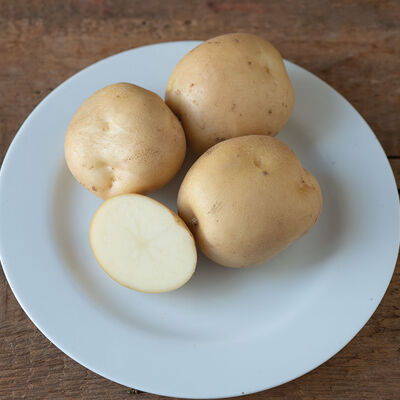 Envol Potatoes