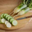 Green Luobo Improved Specialty Radishes