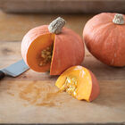 Marmalade Marmalade Winter Squash