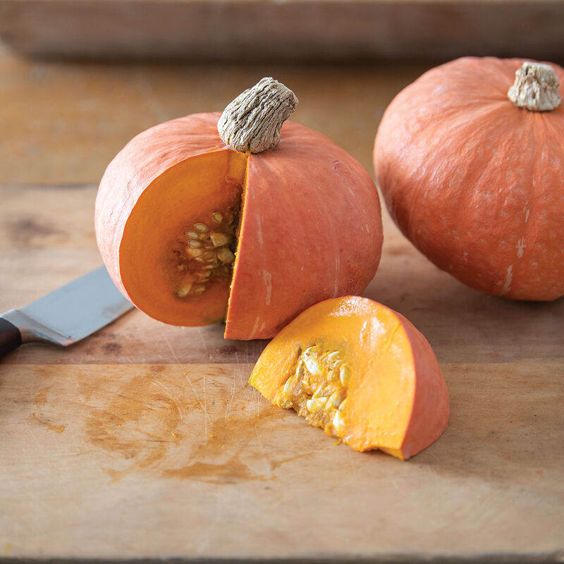 Marmalade Marmalade Winter Squash