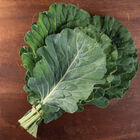 Top Bunch 2.0 Collards