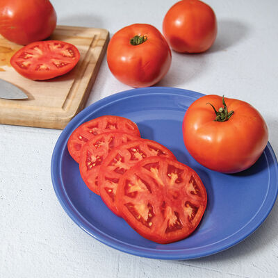 Jolene Beefsteak Tomatoes