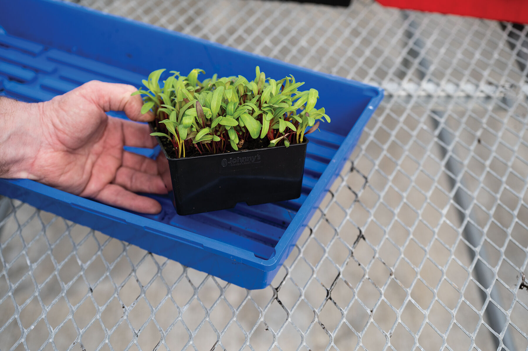 Polypro 5x5 Insert Pots – Black, 8 Count | Johnny's Selected Seeds