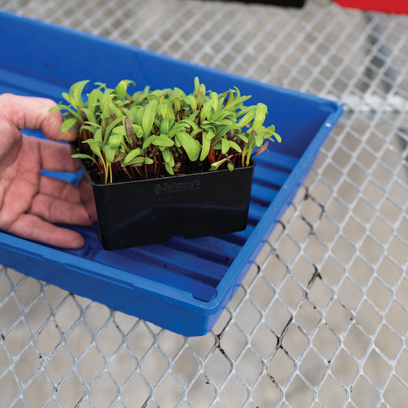 Polypro 5x5 Insert Pots – Black, 8 Count Plastic Pots