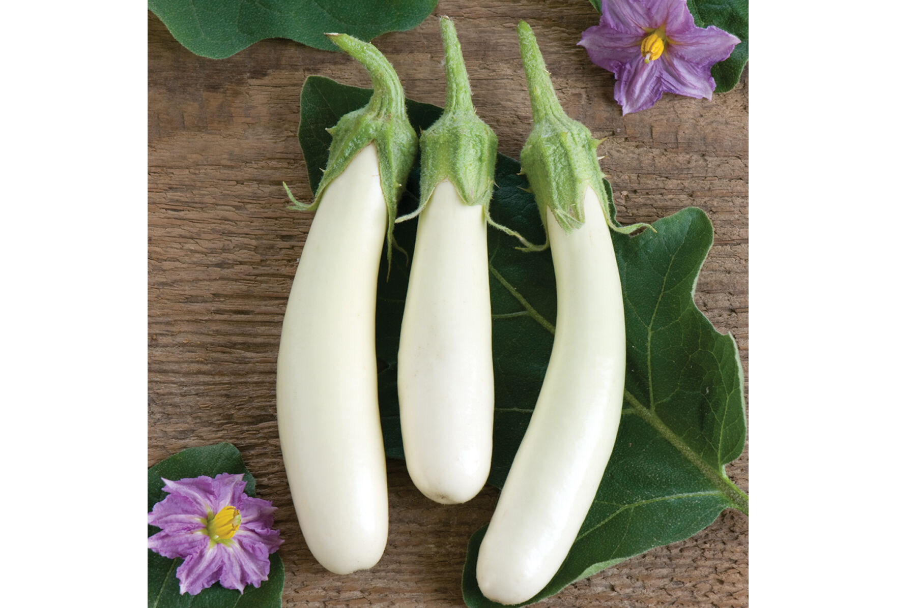 Gretel Mini Eggplants