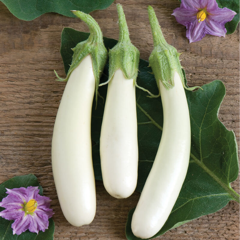Gretel Gretel Mini Eggplants
