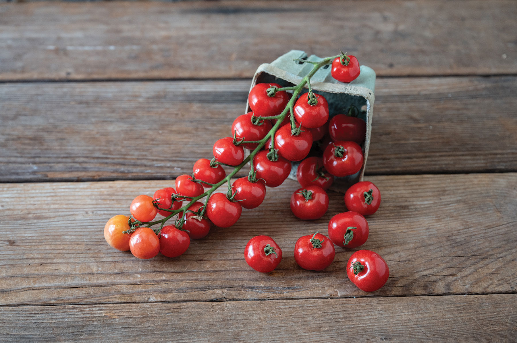 Mochi - Cherry Tomato Seeds | Johnny's Selected Seeds