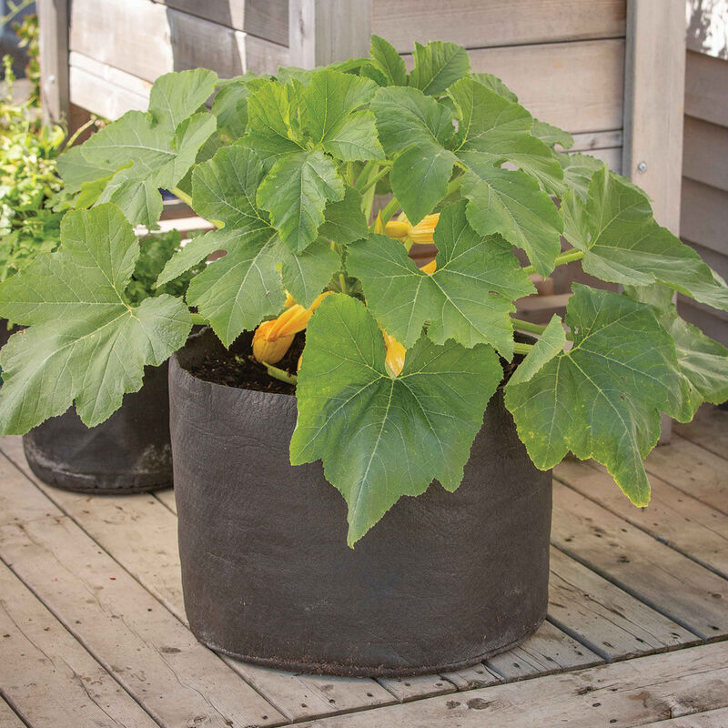 Smart Pot&reg; &ndash; 15 Gal. Grow Bags