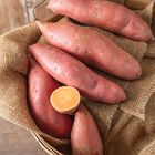 Covington Sweet Potatoes