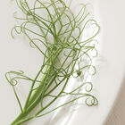 Feisty Feisty Greens and Garnish Peas