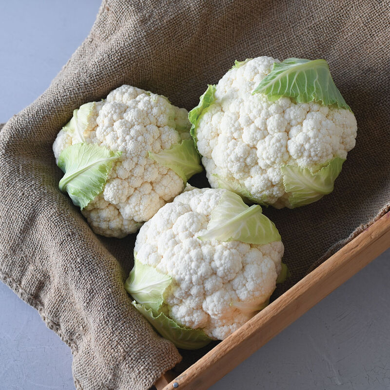 Paxton Standard Cauliflower