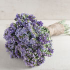 Seeker Pastel Blue Statice