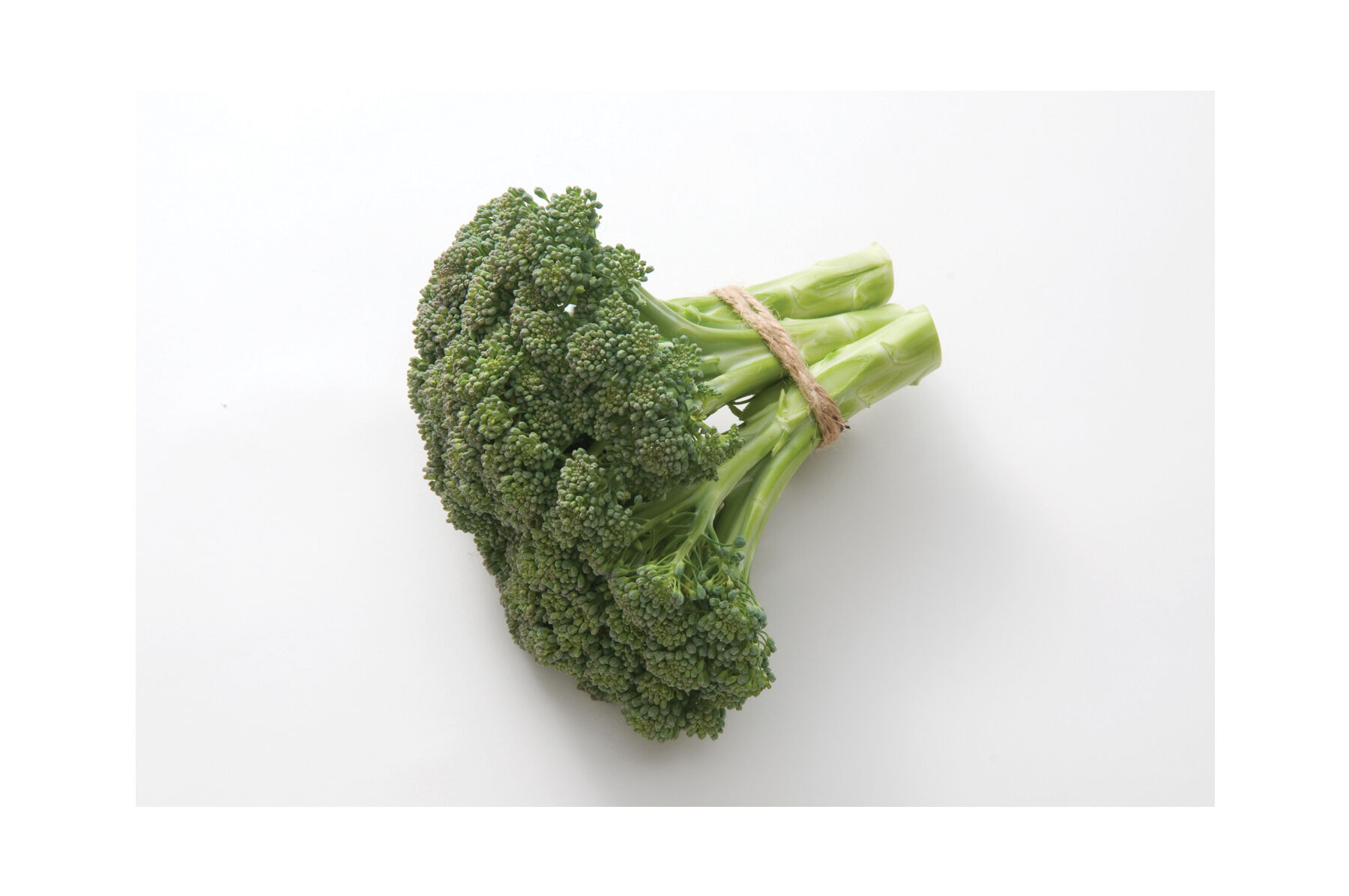 Atlantis Sprouting Broccoli Seeds Johnny's Selected Seeds