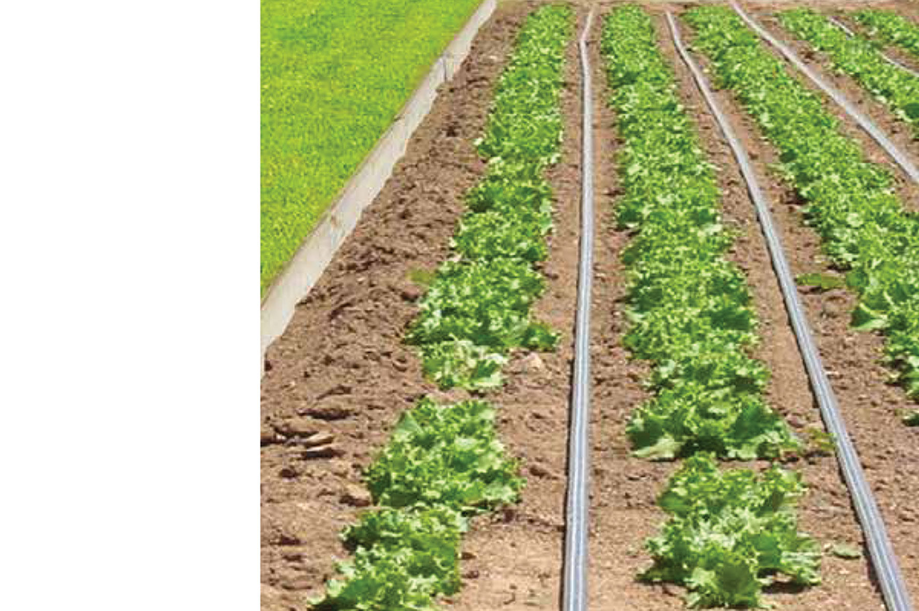 Johnny's Drip Irrigation Kit &ndash; 1,000' Drip Irrigation