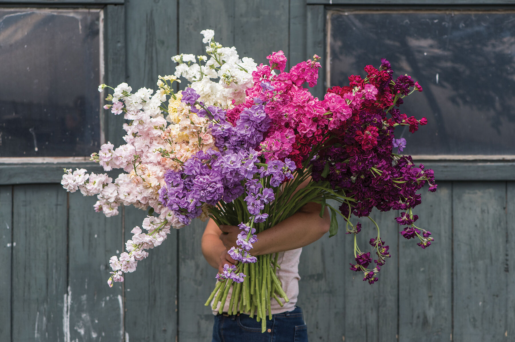 Katz Formula Mix Johnny's Exclusive