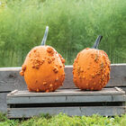 Scarface Specialty Pumpkins
