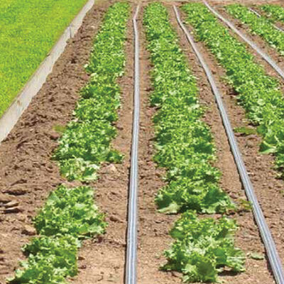 Johnny's Drip Irrigation Kit – 500' Johnny's Drip Irrigation Kit – 500' Drip Irrigation