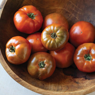 Black Angel Specialty Tomatoes