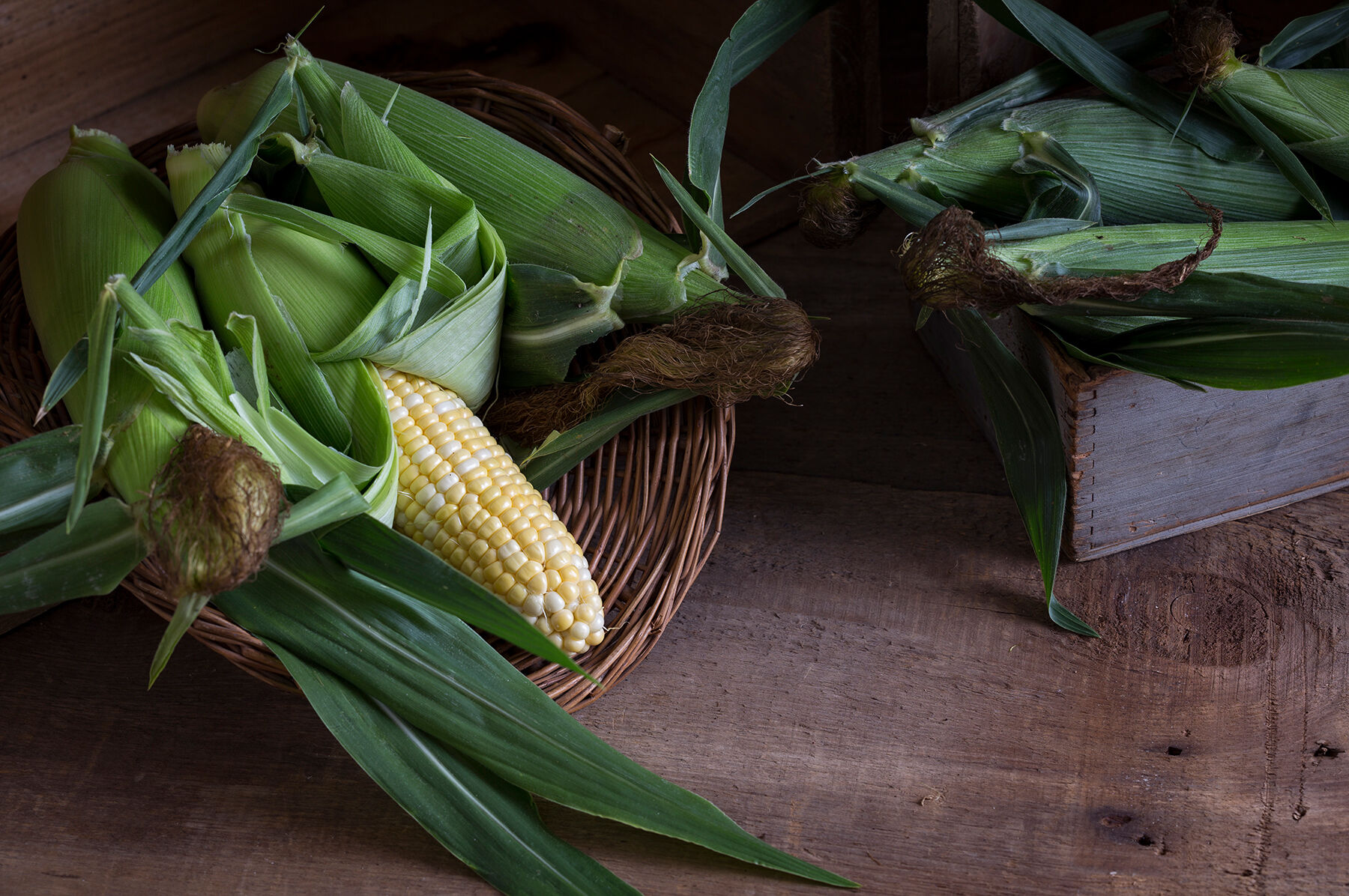 American Dream Sweet Corn