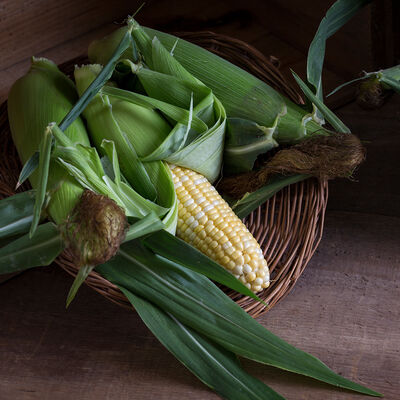 American Dream Sweet Corn