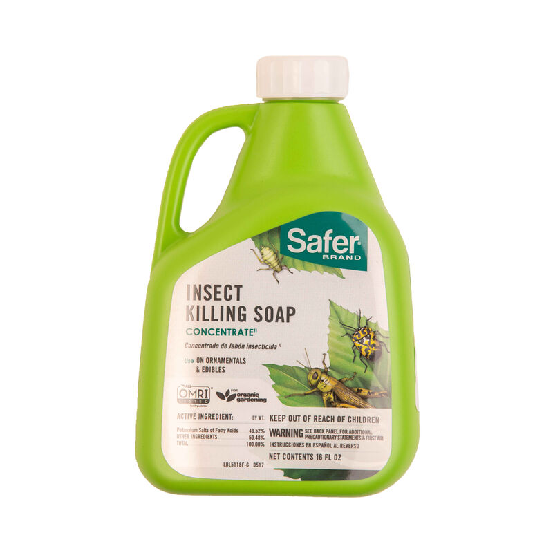 Safer® Insect Soap – 16 Oz. Insecticides