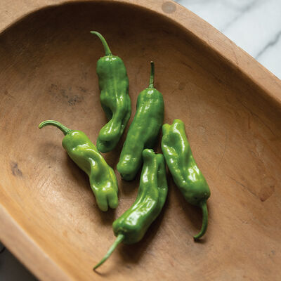 Shishito Sweet Peppers