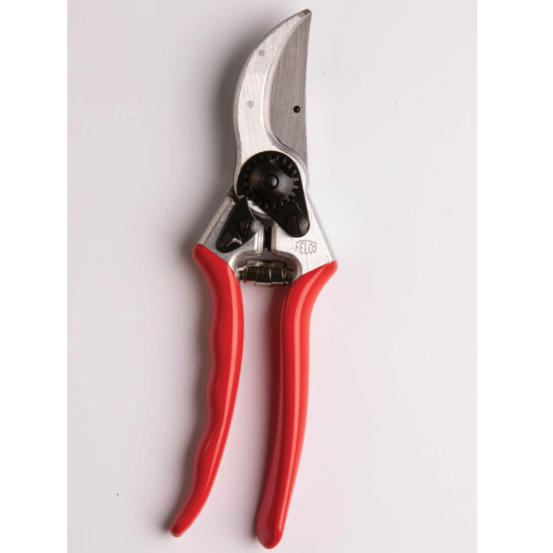 https://www.johnnyseeds.com/dw/image/v2/BJGJ_PRD/on/demandware.static/-/Sites-jss-master/default/dw1252d522/images/products/tools/07733_01_felco_pruning_shears.jpg?sw=800&cx=411&cy=80&cw=1036&ch=1036