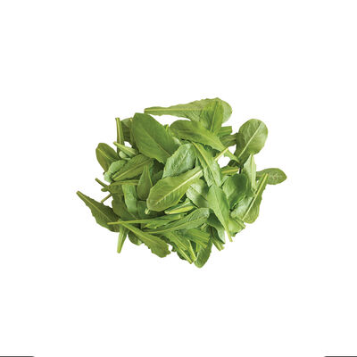 Catalogna Special Catalogna Special Italian Dandelion